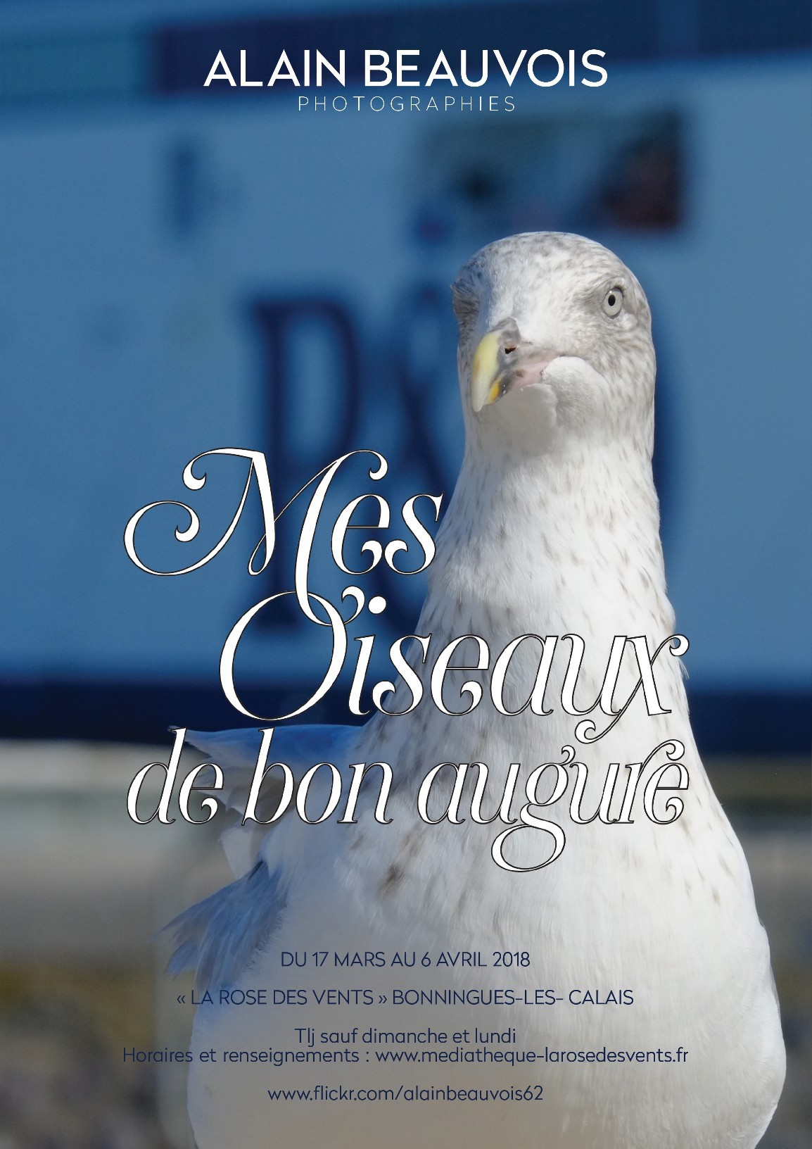 Affiche exposition Mes Oiseaux de bon augure Affiche exposition Mes Oiseaux de bon augure