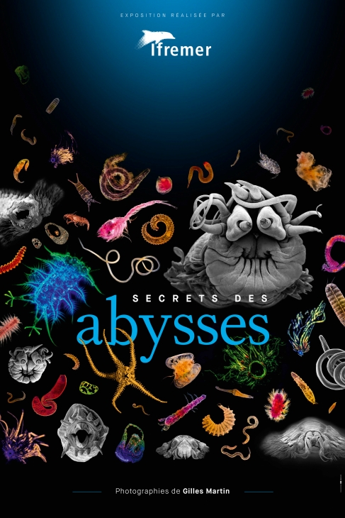 Affiche expo Abysses