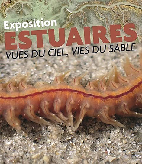 Affiche expo Estuaires - Maréis