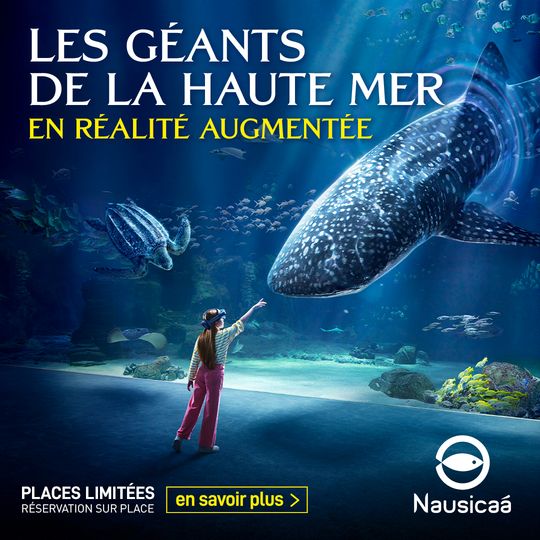 Exposition - Nausicaä